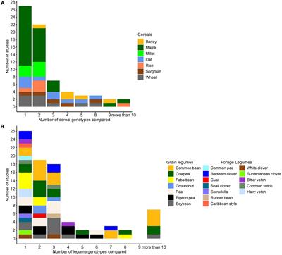 Mixture × Genotype Effects in Cereal/Legume Intercropping